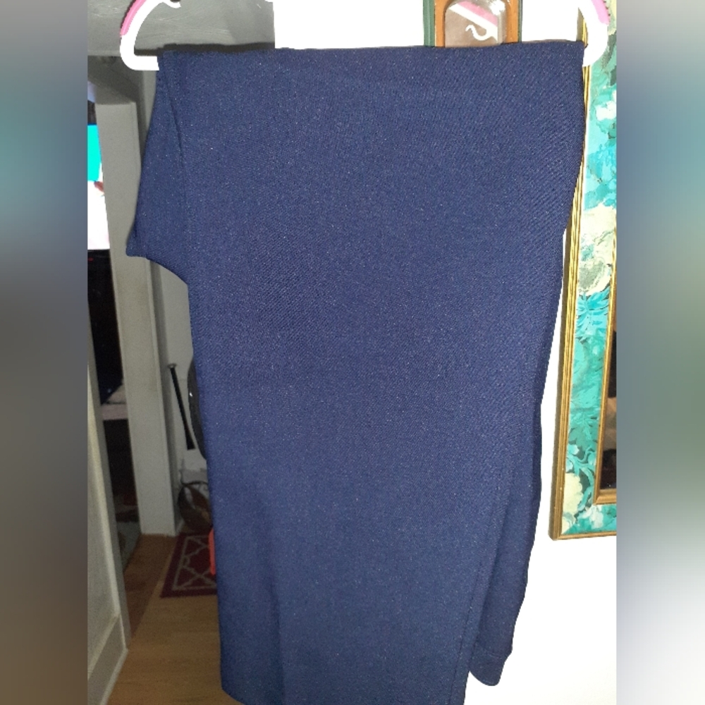 Elegant Navy Blue Pants